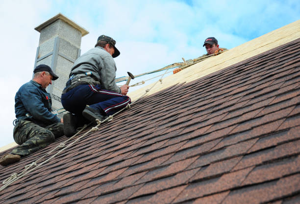 Roof Gutter Cleaning in Oak Harbor, WA